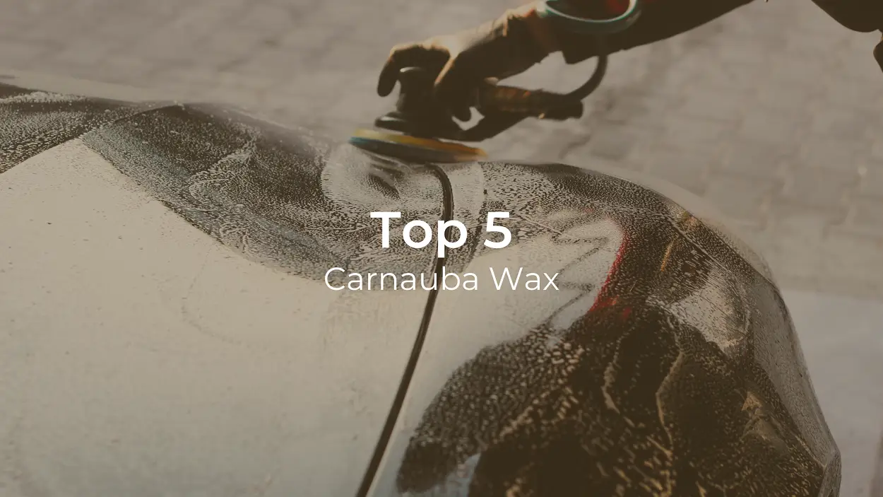 5 of the Best Carnauba Wax